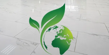 Beyond Stone Solutions logo