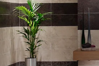 Beyond Stone Solutions logo