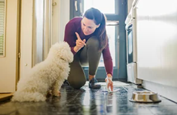 Beyond Stone Solutions