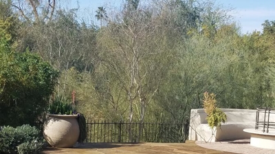 This flagstone patio has been stripped, cleaned, and sealed. Photo