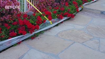 Notice how dull and lifeless the flagstone looked. Photo