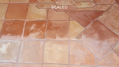 Notice how chalky the unsealed Saltillo looks compared to the vibrant appearance of the sealed Saltillo. Photo