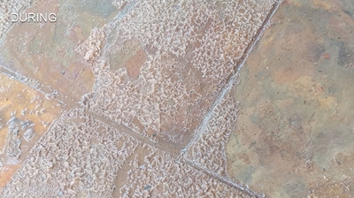 Notice the flaking, unsightly leftover topical sealer. Photo