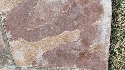 Here is a closer look at the flagstone BEFORE restoration. Photo