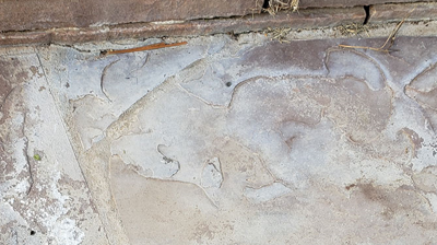 Some areas were in extremely poor condition BEFORE our services. Photo