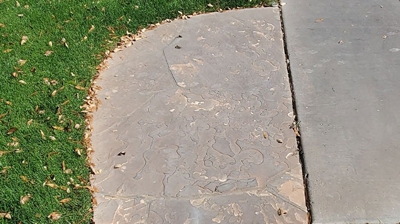 As you can see in this BEFORE image, the flagstone had a dull appearance. Photo