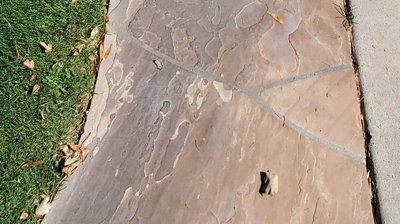 The flagstone looked dirty and colorless, as this BEFORE image shows. Photo