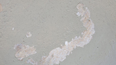 Here is a close look at the peeling paint. Photo