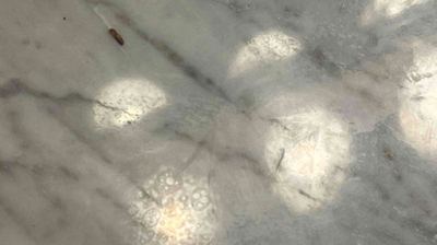 This image shows etch damage, likely caused by improper cleaners. Photo