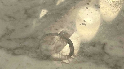 This image shows what people call a "water ring", which is actually etch damage. Photo