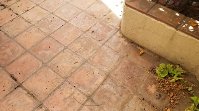 In this BEFORE image, you can see how the Saltillo looked extremely dirty and dull. Photo