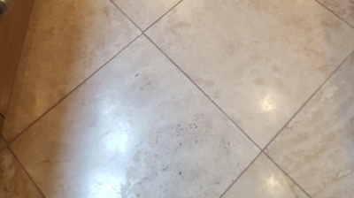 Notice the etch damage on the travertine in this BEFORE images. Photo