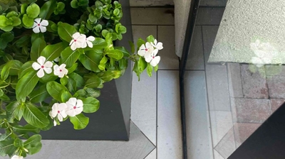 Tile Rust Stain Removal