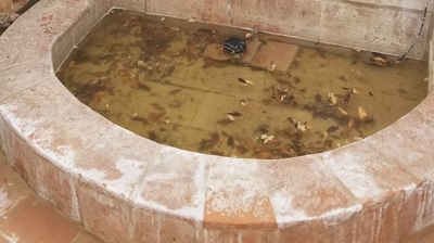 This image was taken before any cleaning or restoration work began. Photo