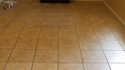 This is the main living and dining area BEFORE we provided any tile and grout services. Photo