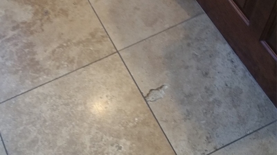 Notice the significant travertine damage. Photo