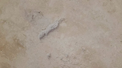 The travertine had a coating. We scraped a bit of it away for demonstration purposes. Photo