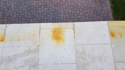 This BEFORE image shows the sample we did during the consultation and estimate. Photo